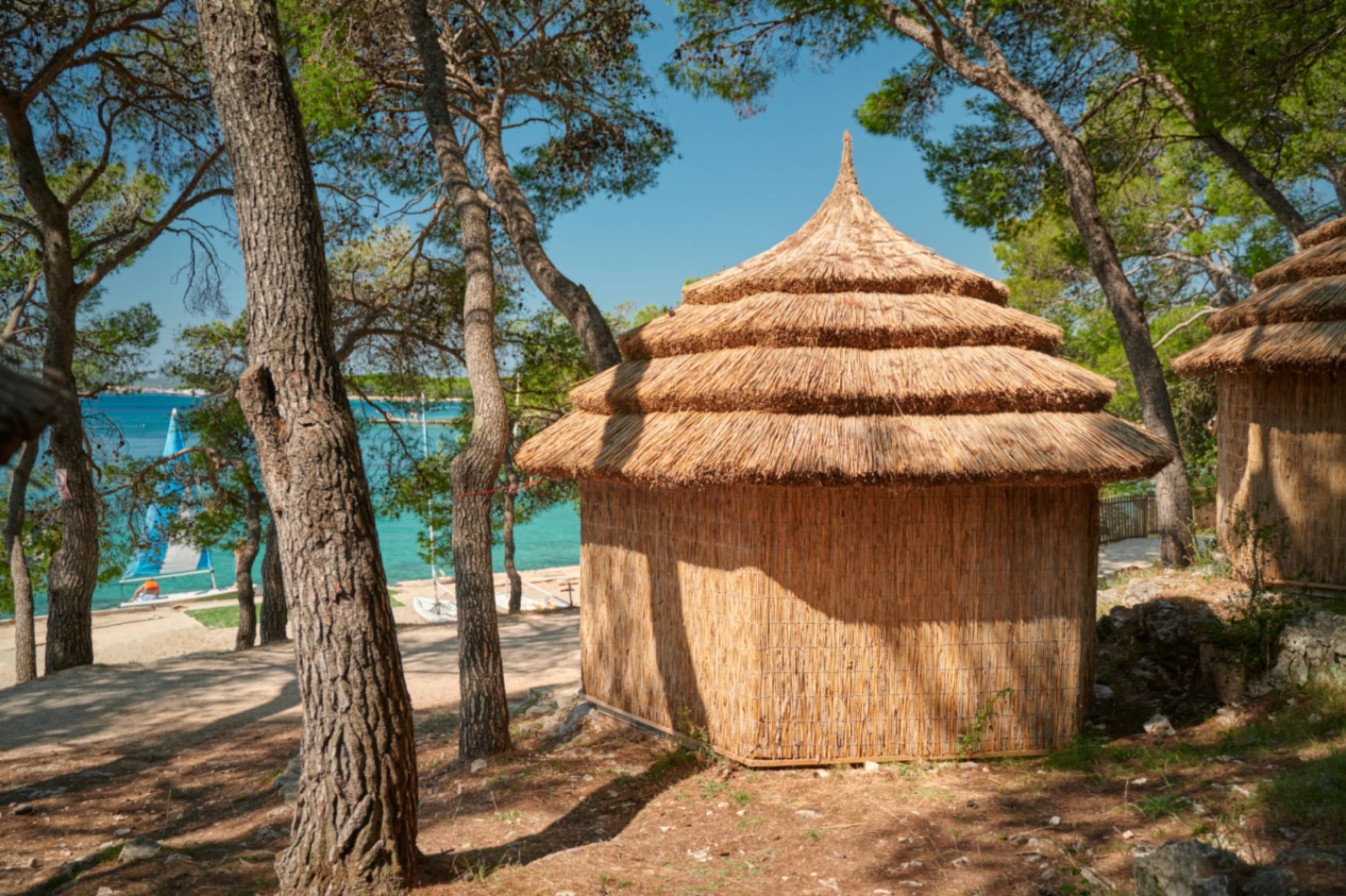 Primary resort image